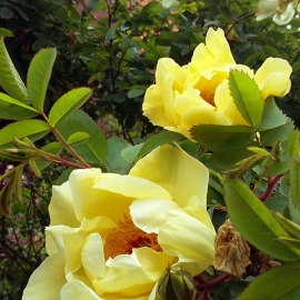 20150628_153621.jpg