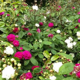20150628_153054.jpg