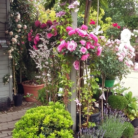20150610_122019.jpg
