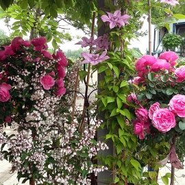 20150610_124547.jpg