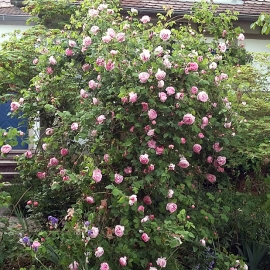 20150528_195113.jpg
