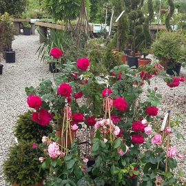 20160602_183930.jpg